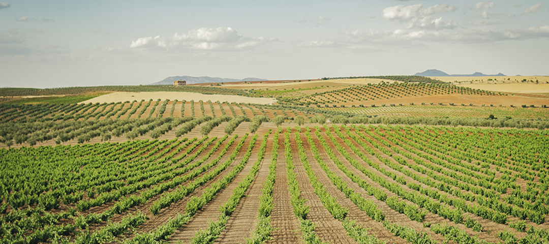 Extremadura