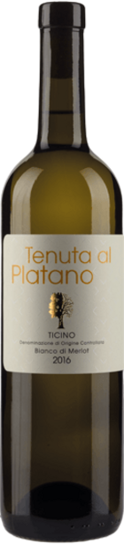 Tenuta al Platano Bianco di Merlot