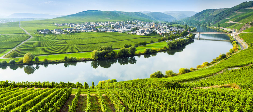 Mosel